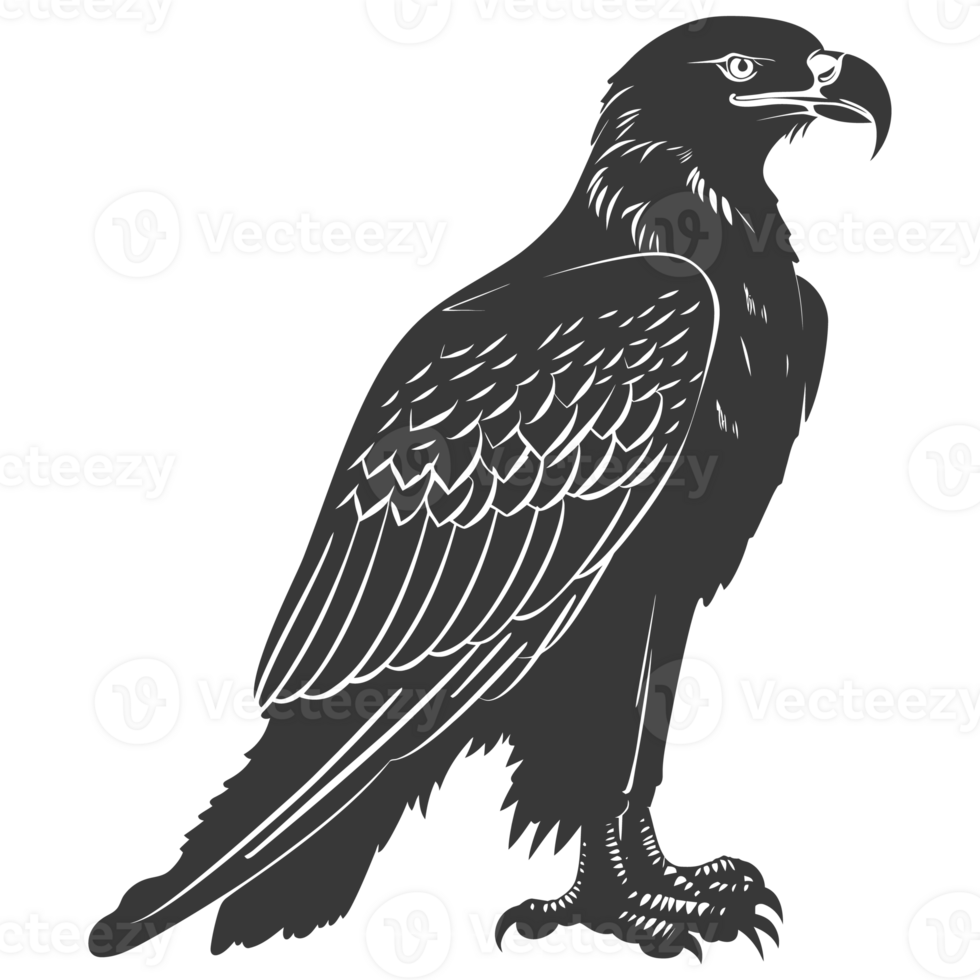 ai generato silhouette aquila animale nero colore solo pieno corpo png