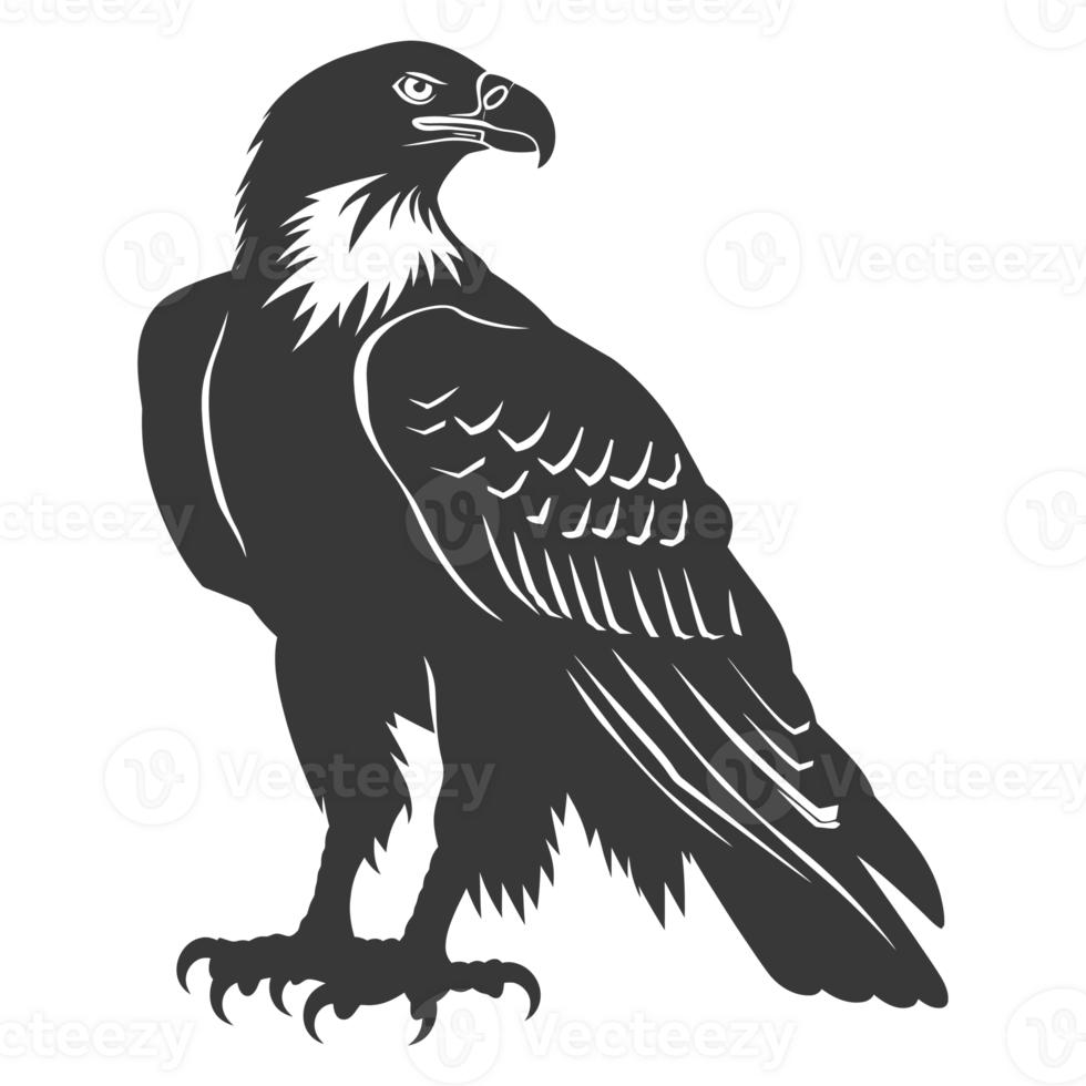AI generated Silhouette eagle animal black color only full body png