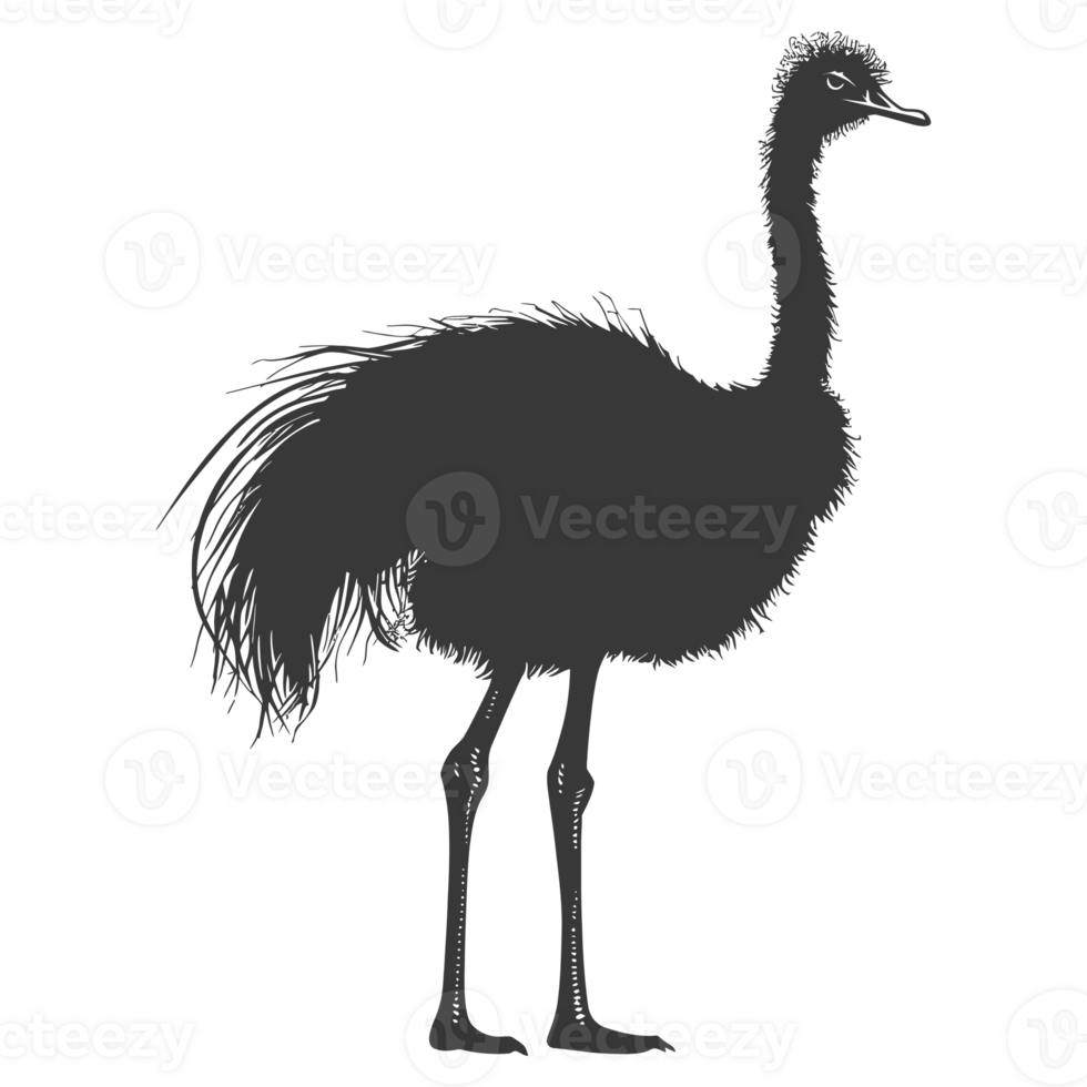 AI generated Silhouette ostrich animal black color only full body png