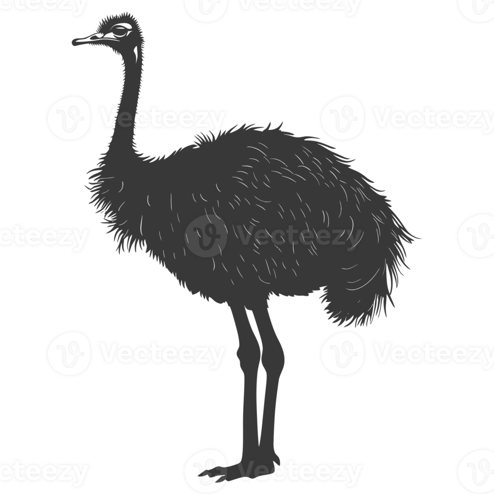 AI generated Silhouette ostrich animal black color only full body png