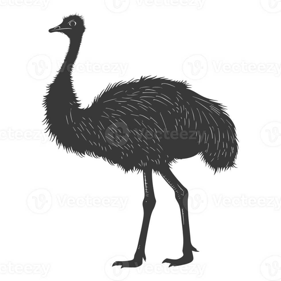AI generated Silhouette ostrich animal black color only full body png