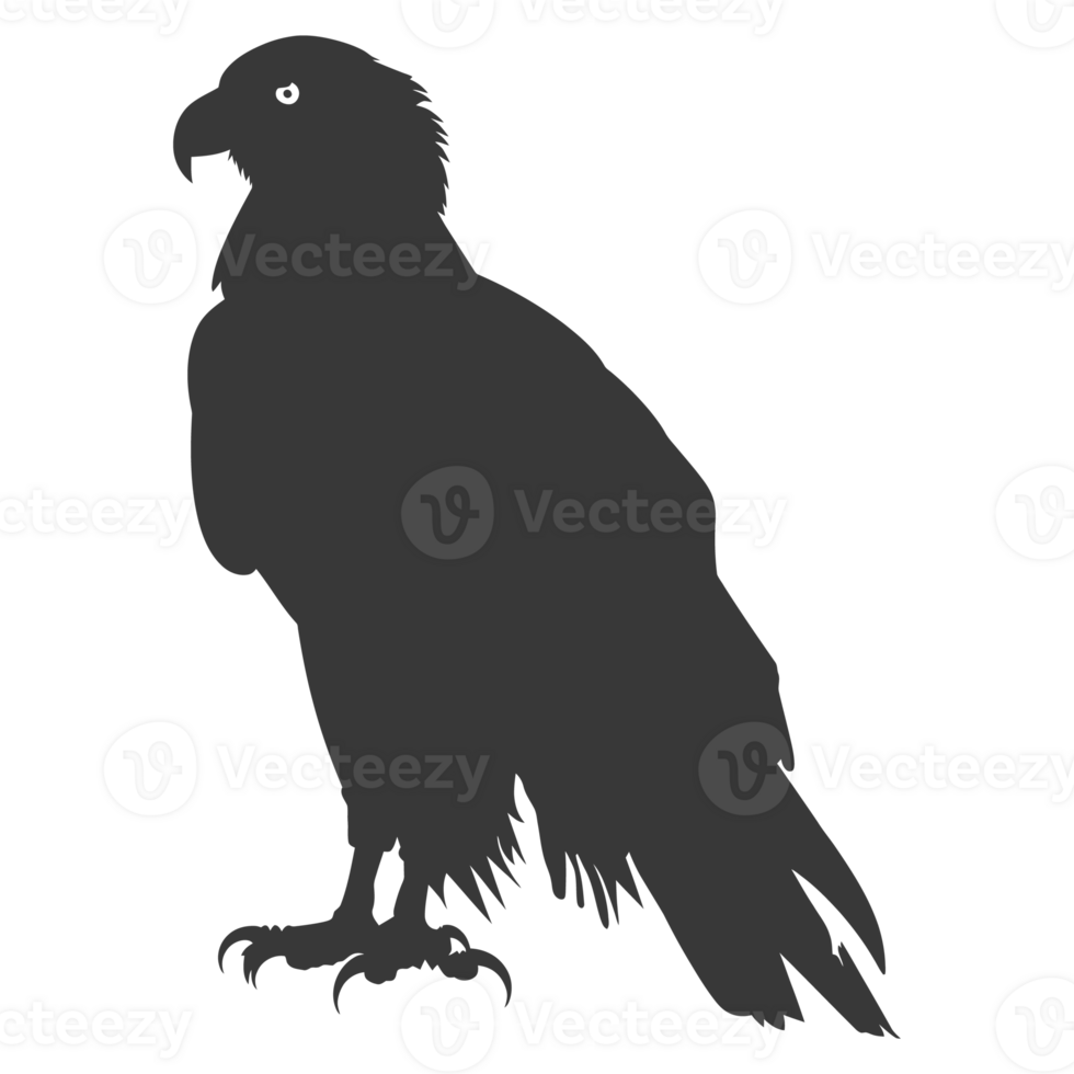 AI generated Silhouette eagle animal black color only full body png