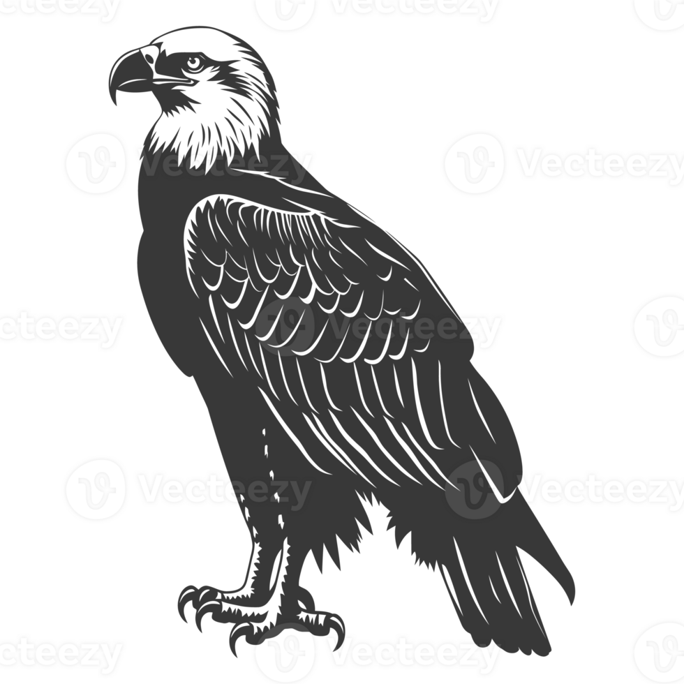 AI generated Silhouette eagle animal black color only full body png