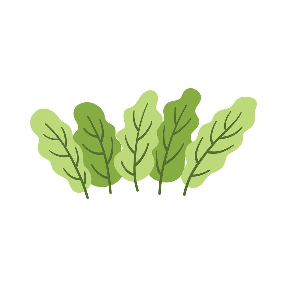 Green grass leaves. nature decoration vector