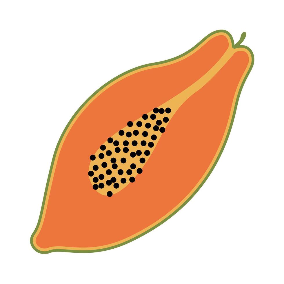 Papaya fruit vector illustration in flat style