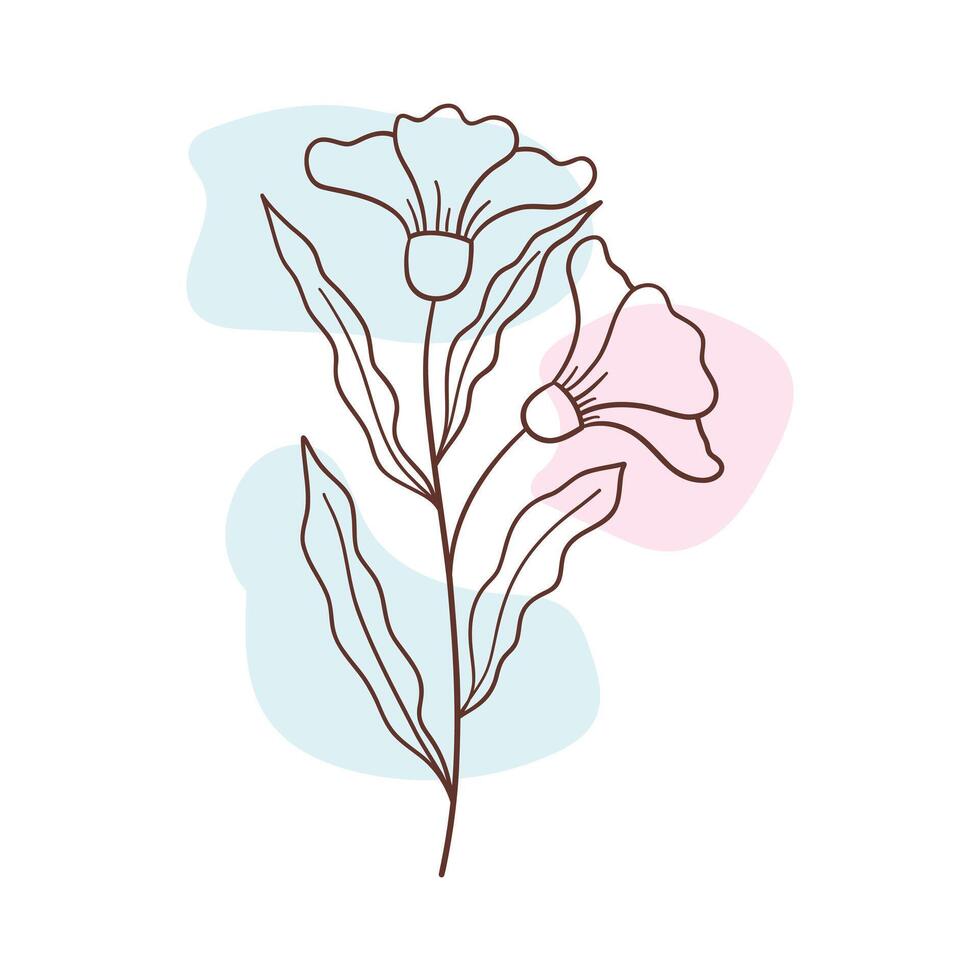 Minimalist botanical floral aesthetic element vector