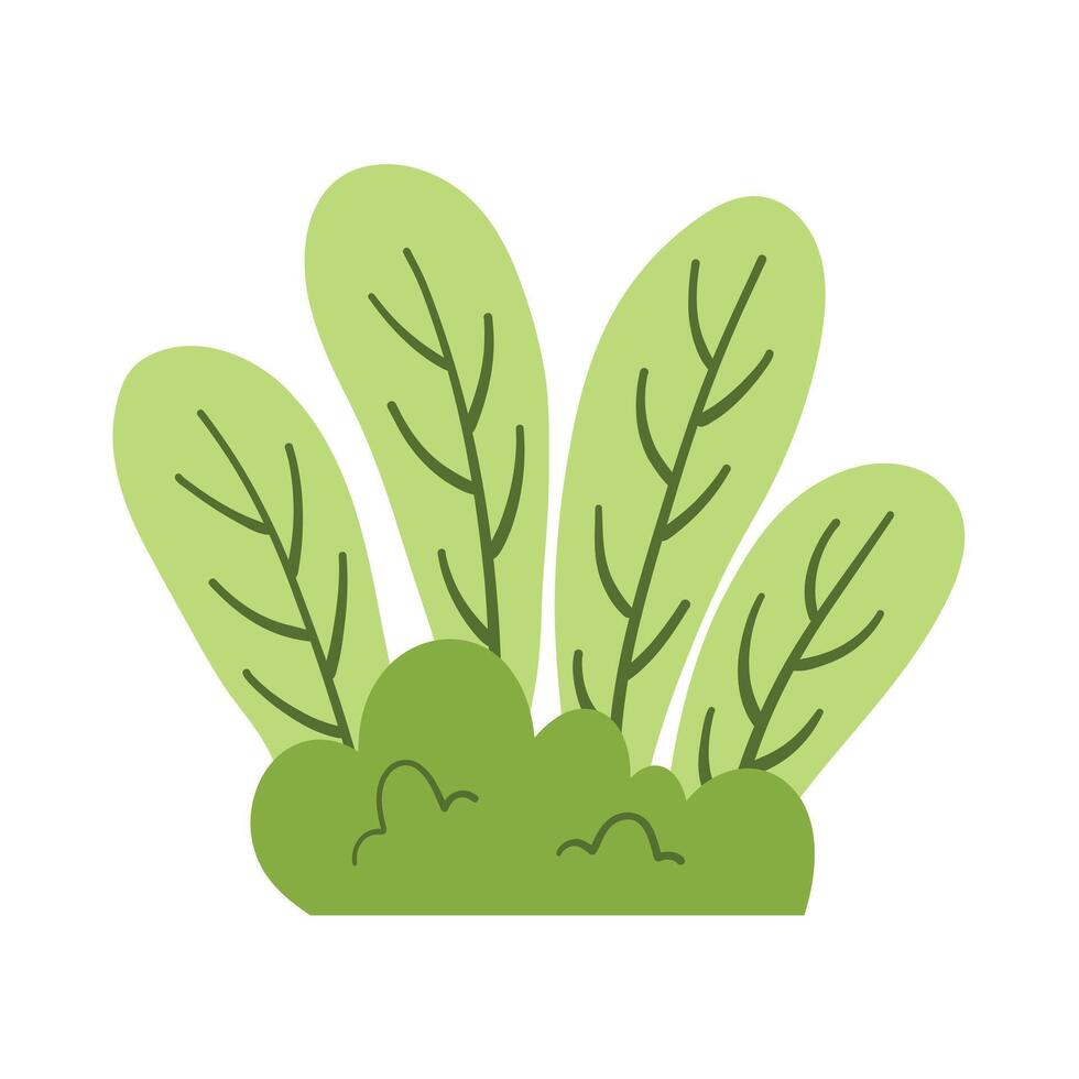 Green grass leaves. nature decoration vector