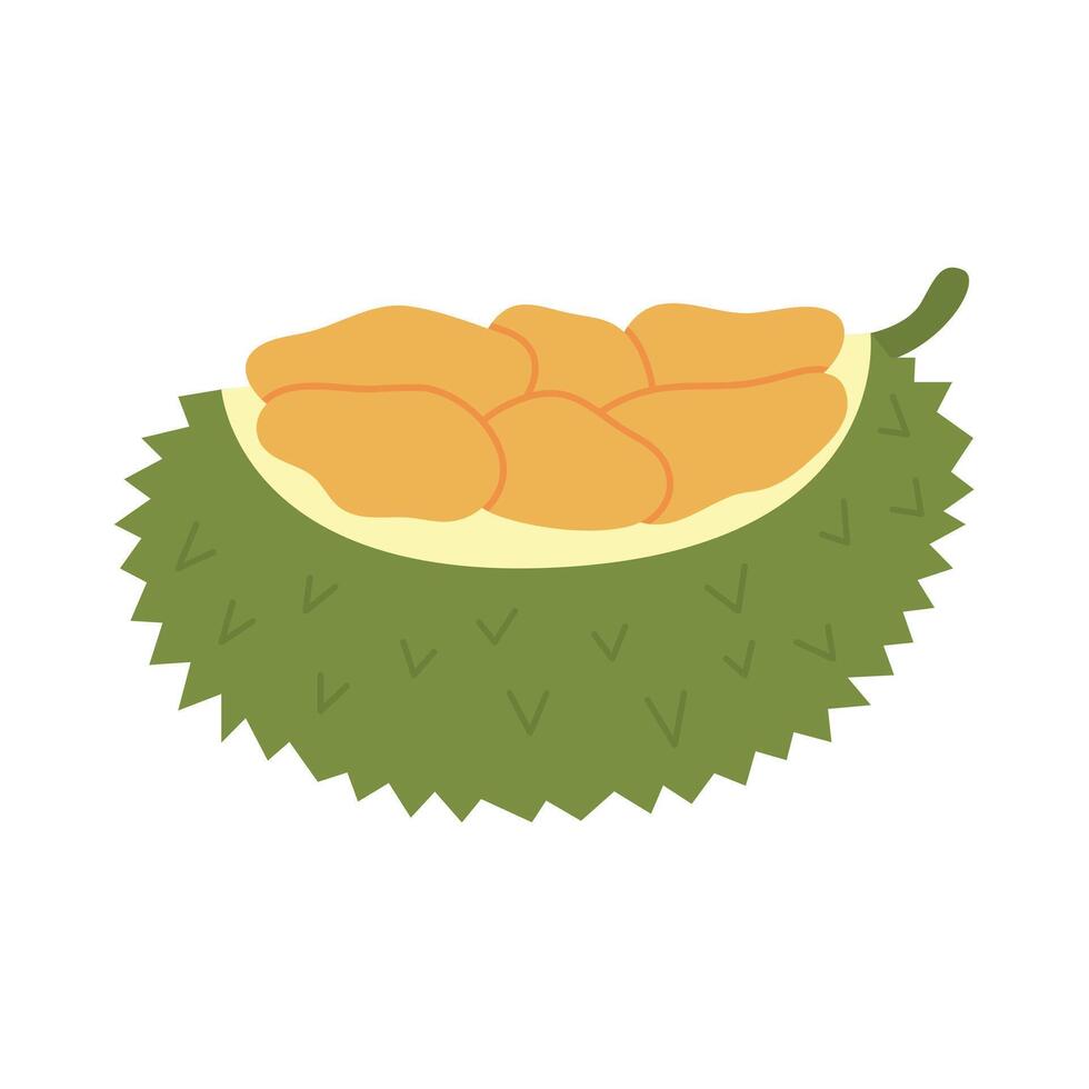 Durian fruit icon. Asian fresh fruit vector