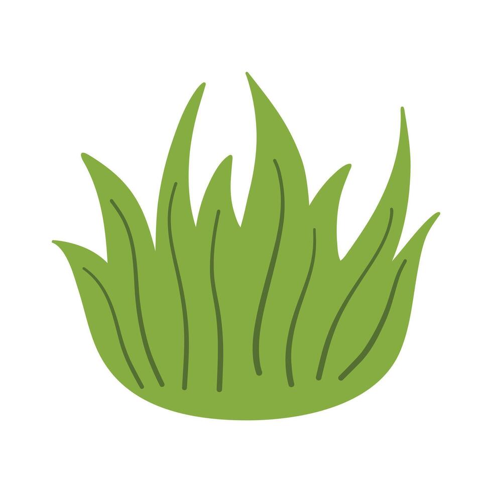 Green grass leaves. nature decoration vector