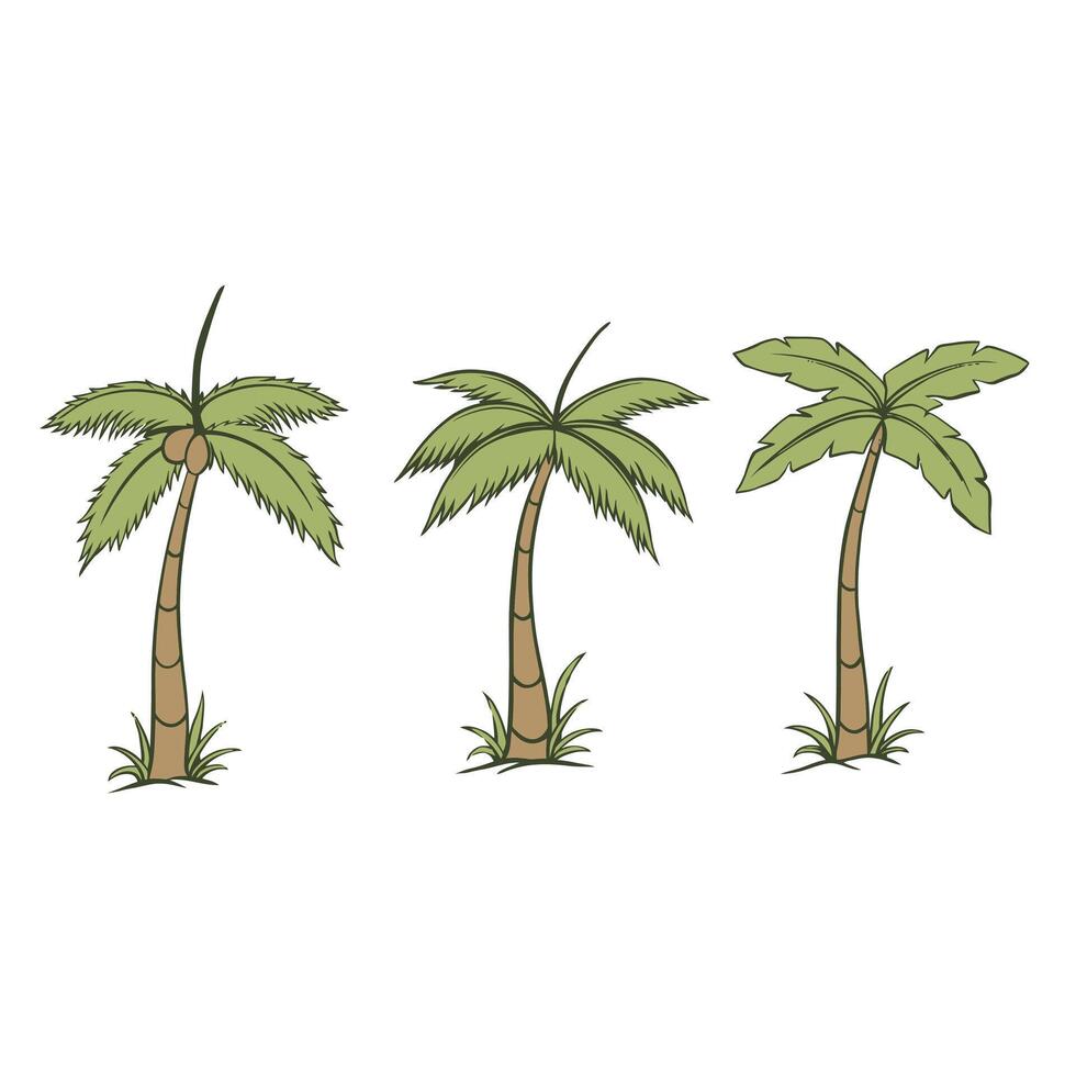 coconut tree set vector illustration