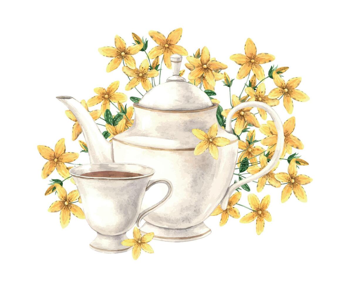 acuarela composición de un tetera y taza, con amarillo tutsan flores el ilustración es mano dibujado en un aislado antecedentes. dibujo para menú diseño, embalaje, textiles para carteles y sitios web vector