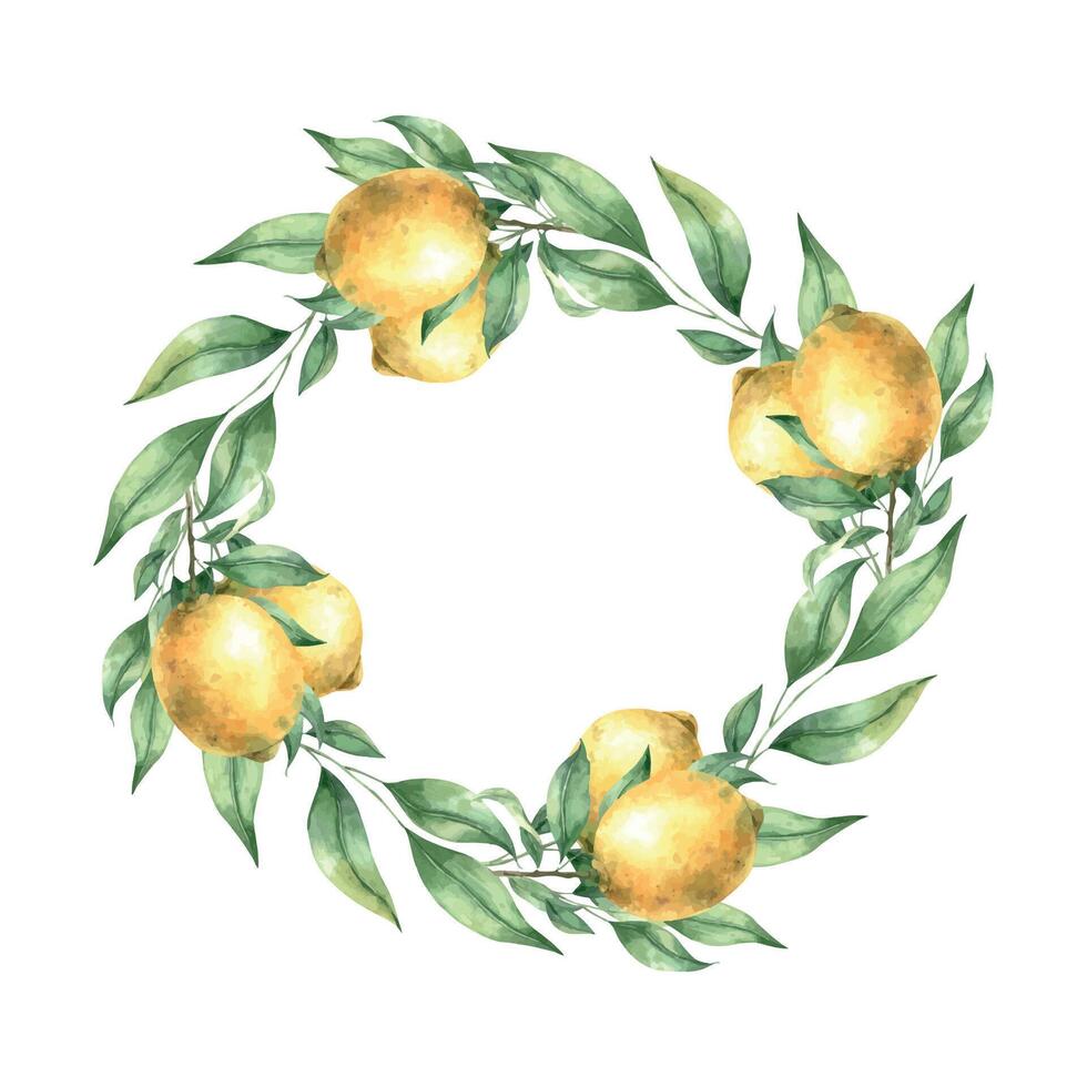 Watercolor botanical wreath of lemons and leaves. The illustration is hand drawn on an isolated background. Drawing for menu design, packaging, poster, website, textile, brochure, graphic design vector