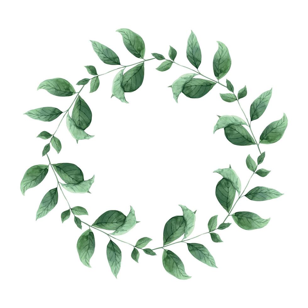 Watercolor botanical wreath made of mint leaves. The illustration is hand drawn on an isolated background. Drawing for menu design, packaging, poster, website, textile, brochure, graphic design vector