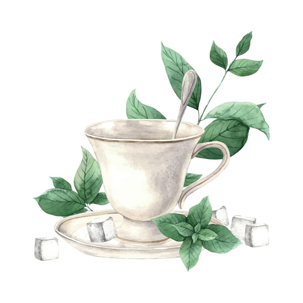 Watercolor composition with a mug, saucer, spoon and sugar, and mint around. Illustration is hand drawn, suitable for menu design, packaging, poster, website, textile, invitation, brochure vector