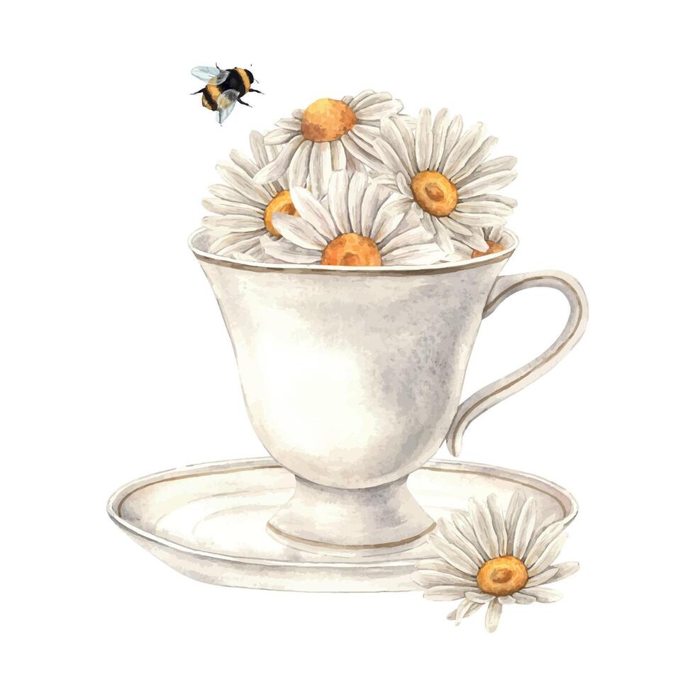 Watercolor composition with a ceramic mug, chamomile flowers and bumblebee. Illustration is hand drawn, suitable for menu design, packaging, poster, website, textile, invitation, brochure, textile vector