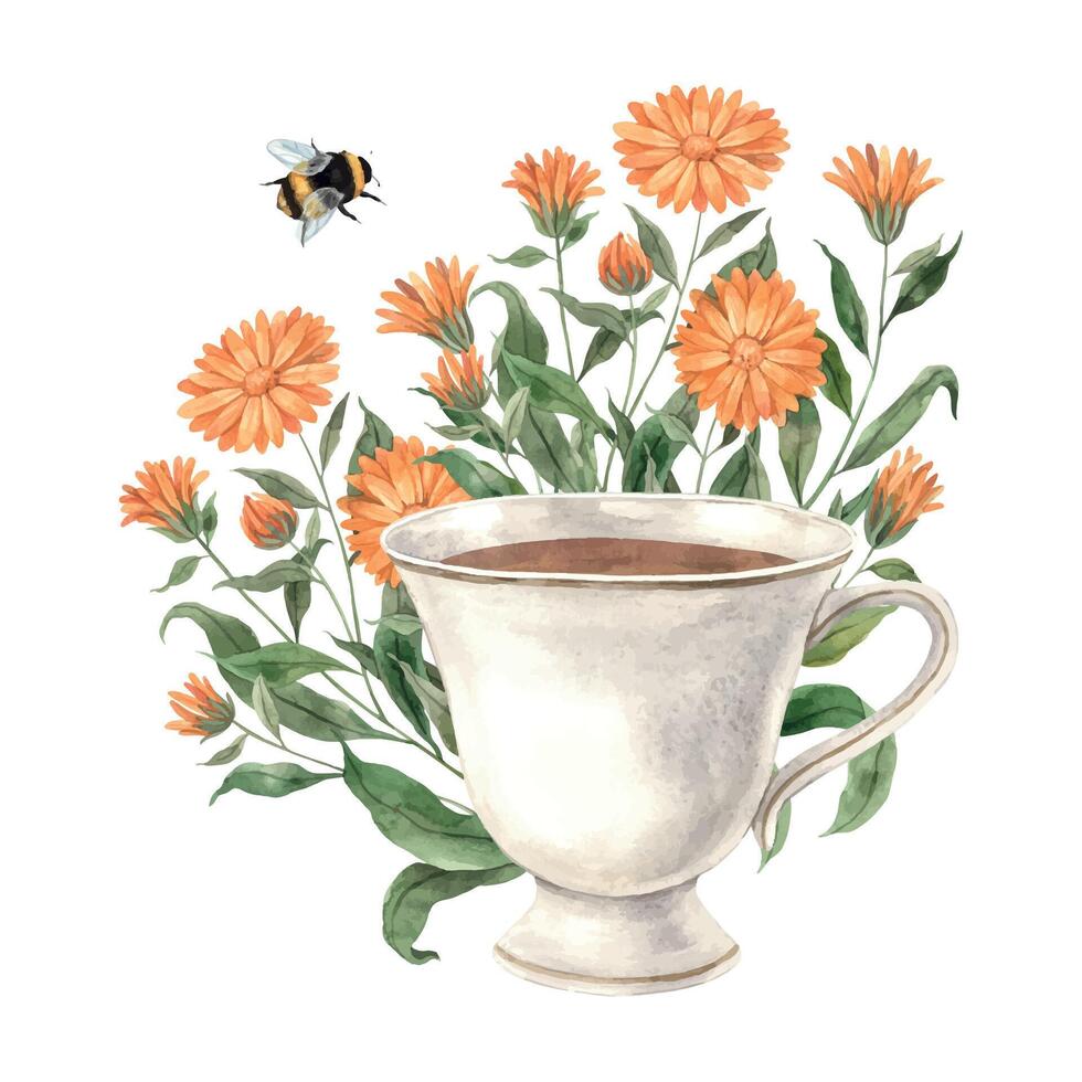 Watercolor tea composition with ceramic vintage mug, calendula and bumblebee. Illustration is hand drawn, suitable for menu design, packaging, poster, website, textile, invitation, brochure, textile vector