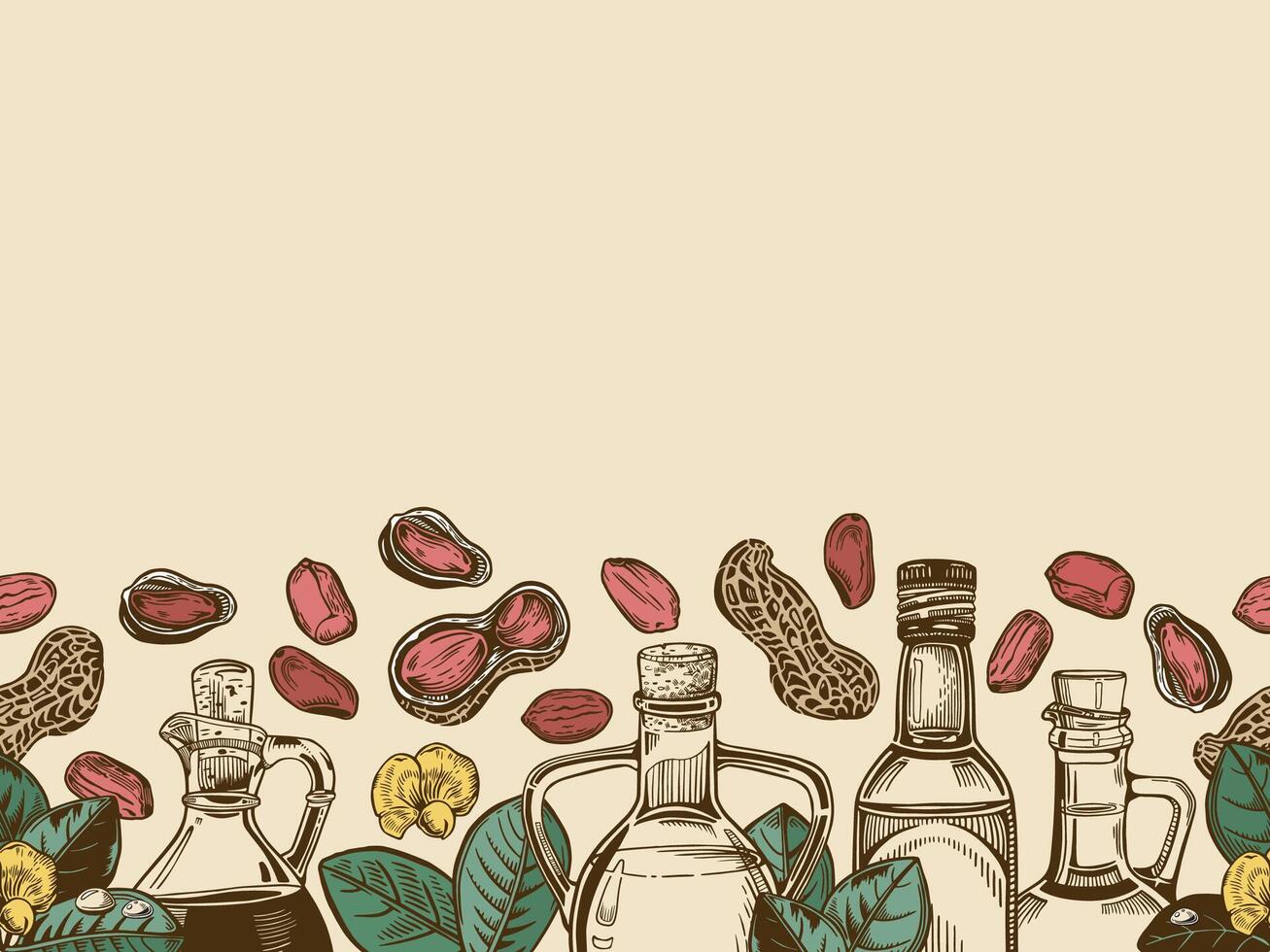 Composition with oil bottles and a sprig of peanuts with leaves and a flower, peanut nuts. vector