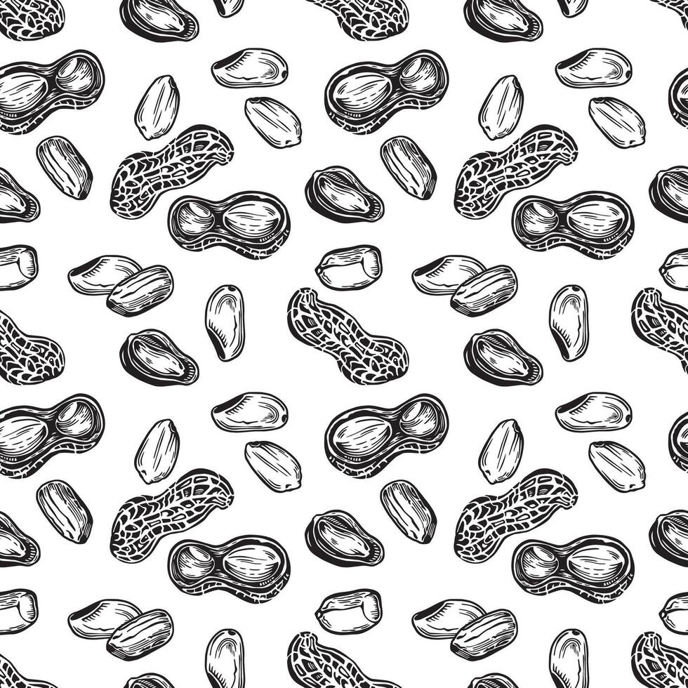 Seamless black and white pattern with peanuts. vector