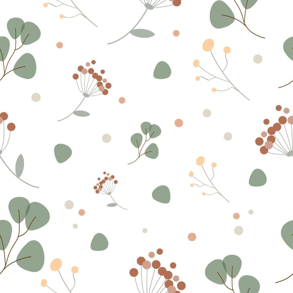 Pattern with eucalyptus and organic natural branches of dried flowers. Vector graphics