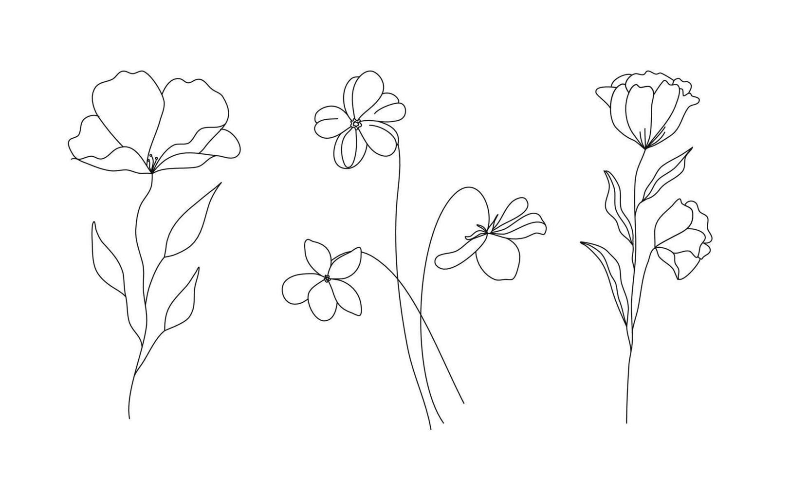 Hand drawn wild field flora, flowers, leaves, herbs, plants, branches. Minimal floral botanical line art. Vector illustration for logo or tattoo, invitations, save the date card