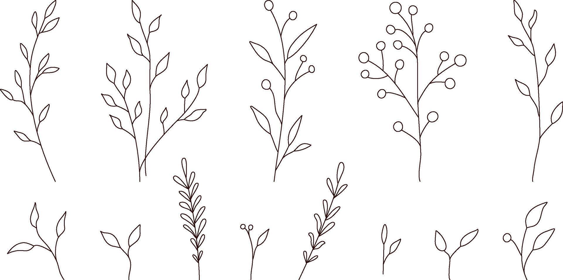 Hand drawn wild field flora, flowers, leaves, herbs, plants, branches. Minimal floral botanical line art. Vector illustration for logo or tattoo, invitations, save the date card