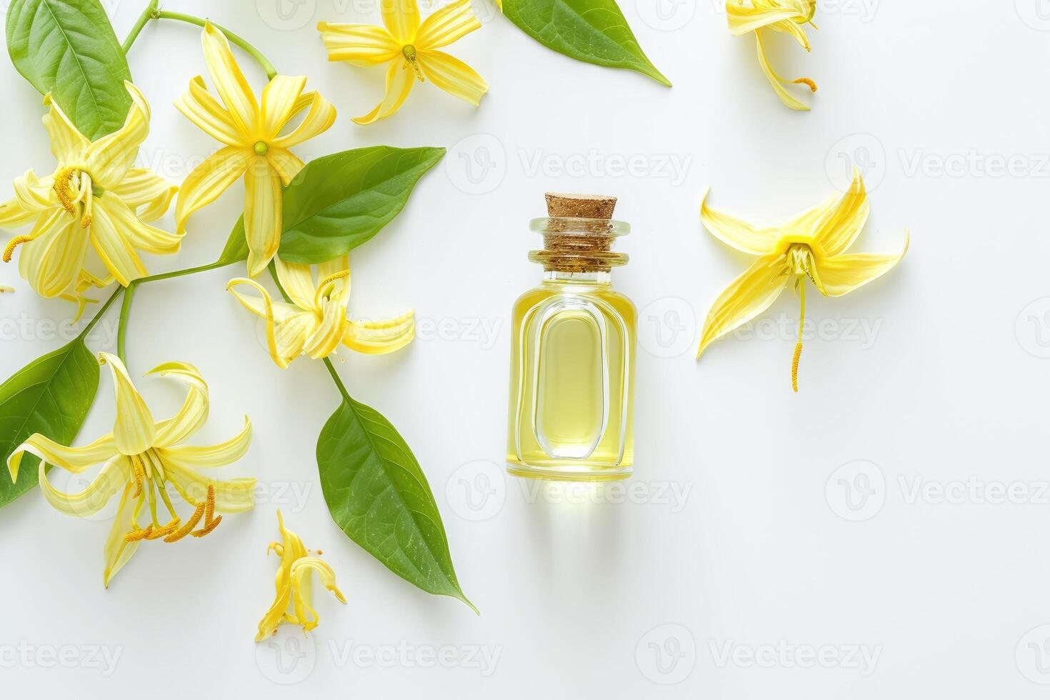 AI generated Ylang Ylang, The Essential Oil of Relaxation, isolated on white. generative ai photo