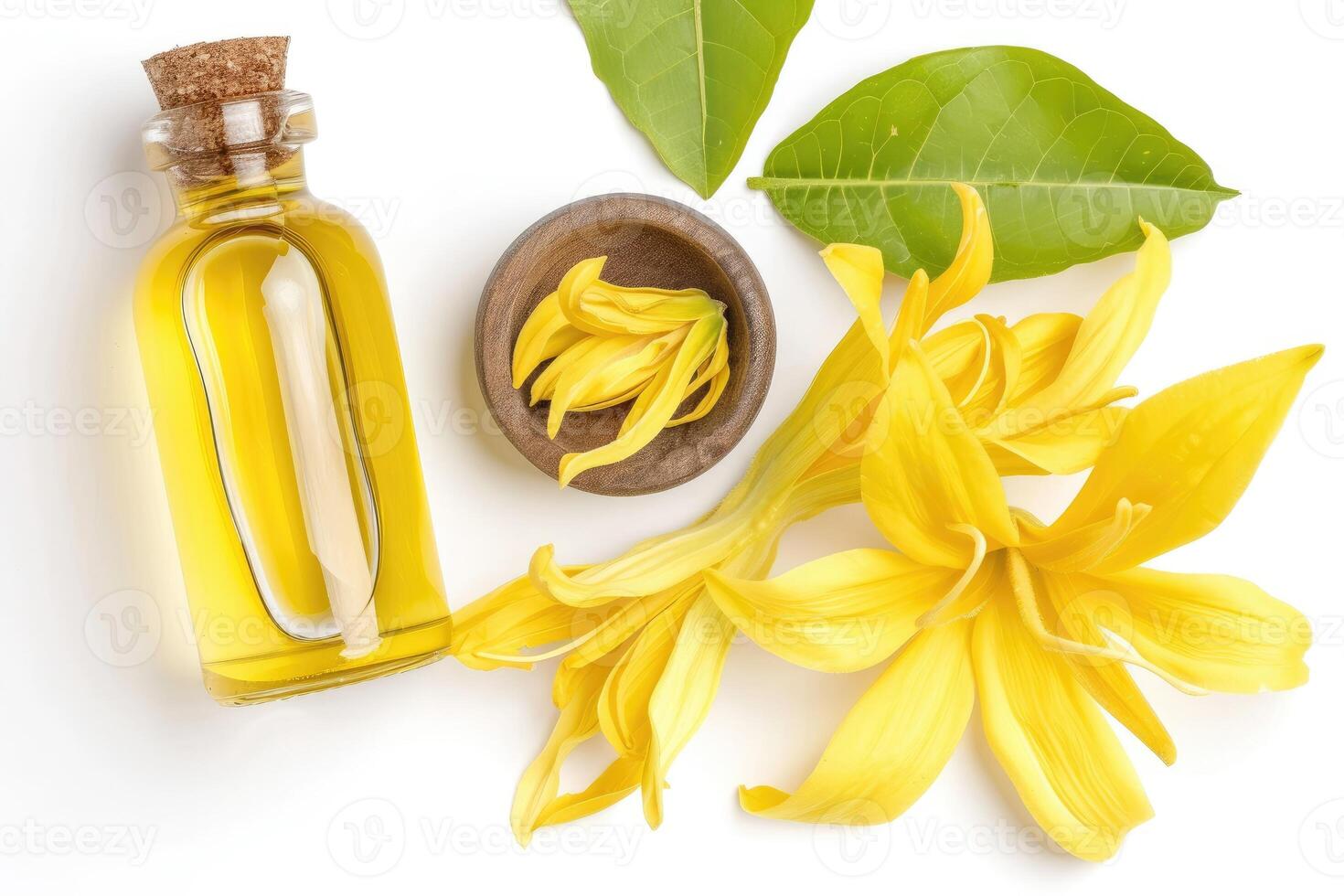 AI generated Ylang Ylang, The Essential Oil of Relaxation, isolated on white. generative ai photo