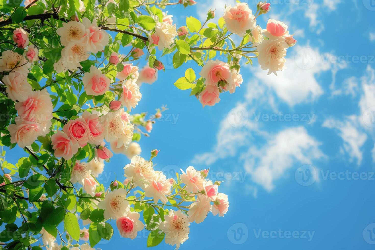 ai generado hermosa primavera borde, floreciente Rosa arbusto en un azul antecedentes. floración Rosa caderas en contra el azul cielo. generativo ai foto