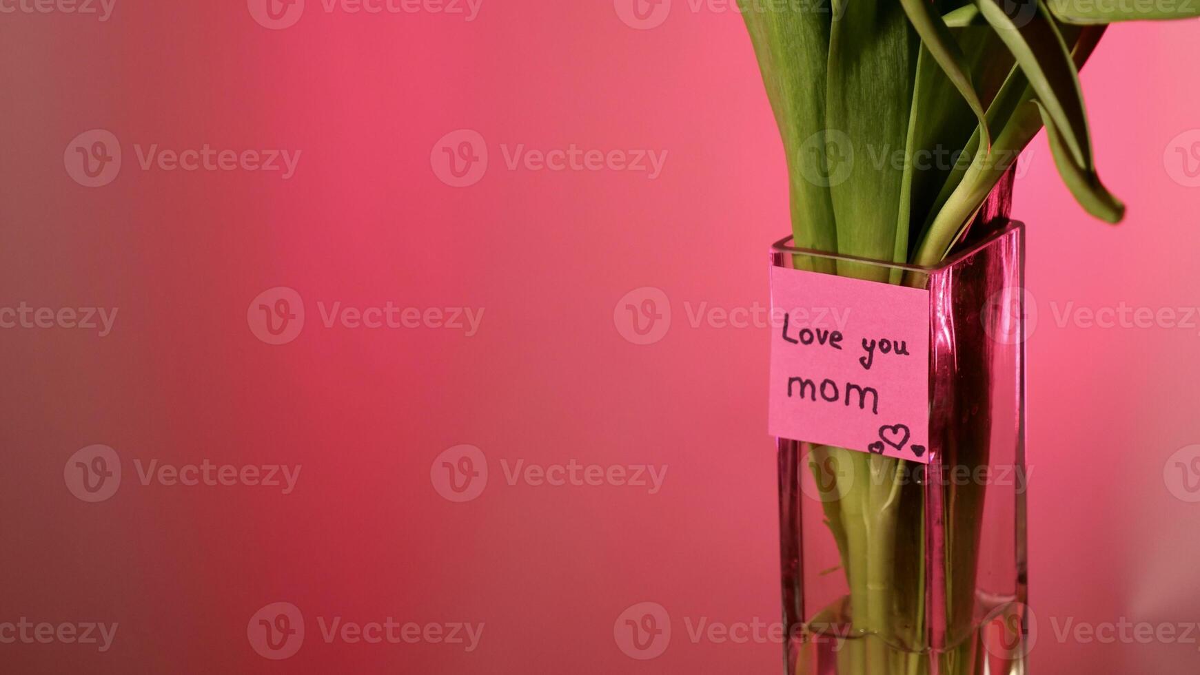 Spring tulip flowers on pink background , close-up with space for paste text. International Mother's Day. Sticker I love you mom, copy space , neon magenta light photo