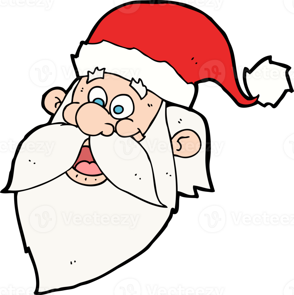 cartoon jolly santa claus face png