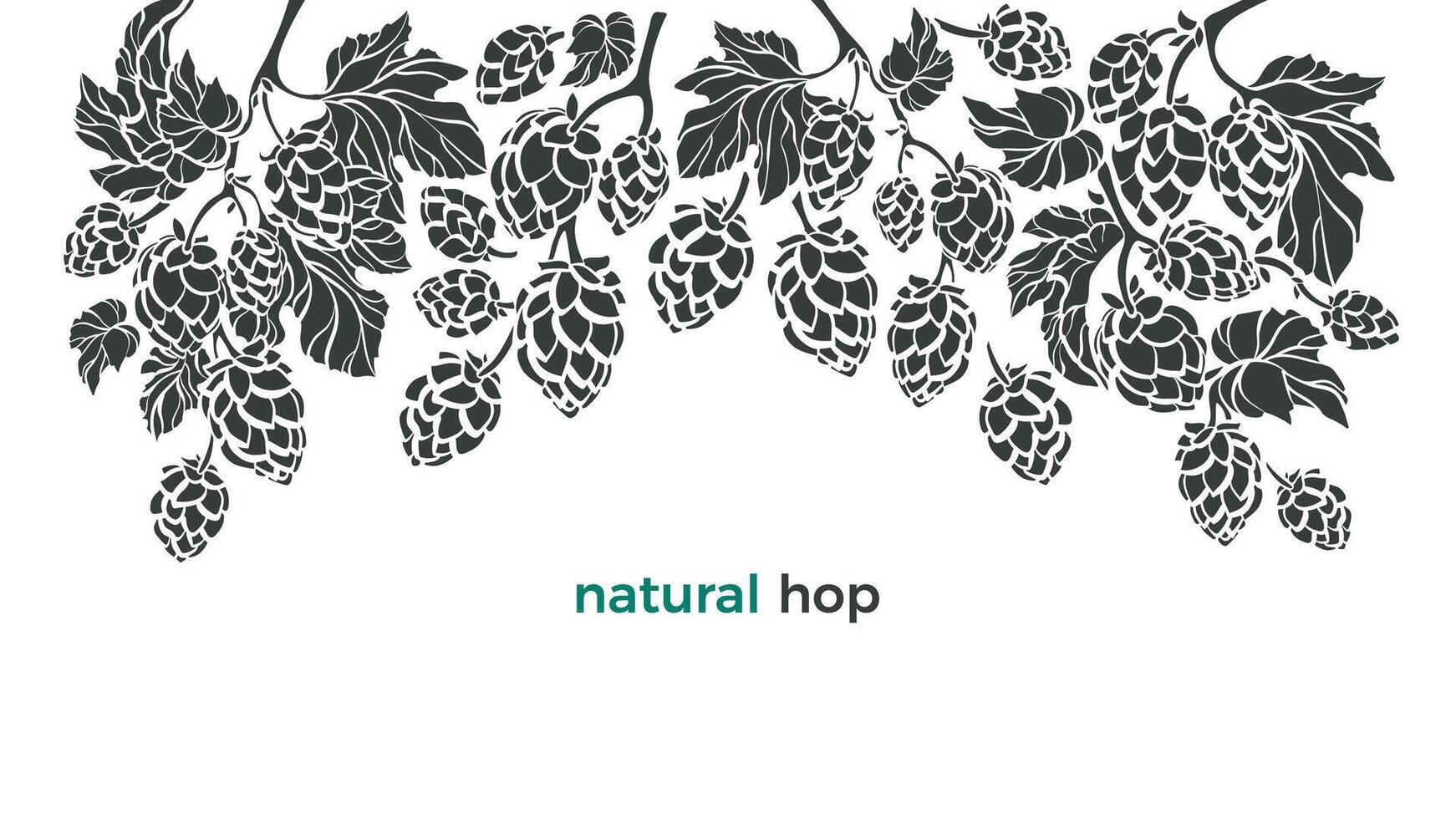 Set of hop. Vector botany border. Bio beverage. Art illustration, nature pattern on white background. Herbal cone, leaf, branch. Simple organic design for beer print, pub.