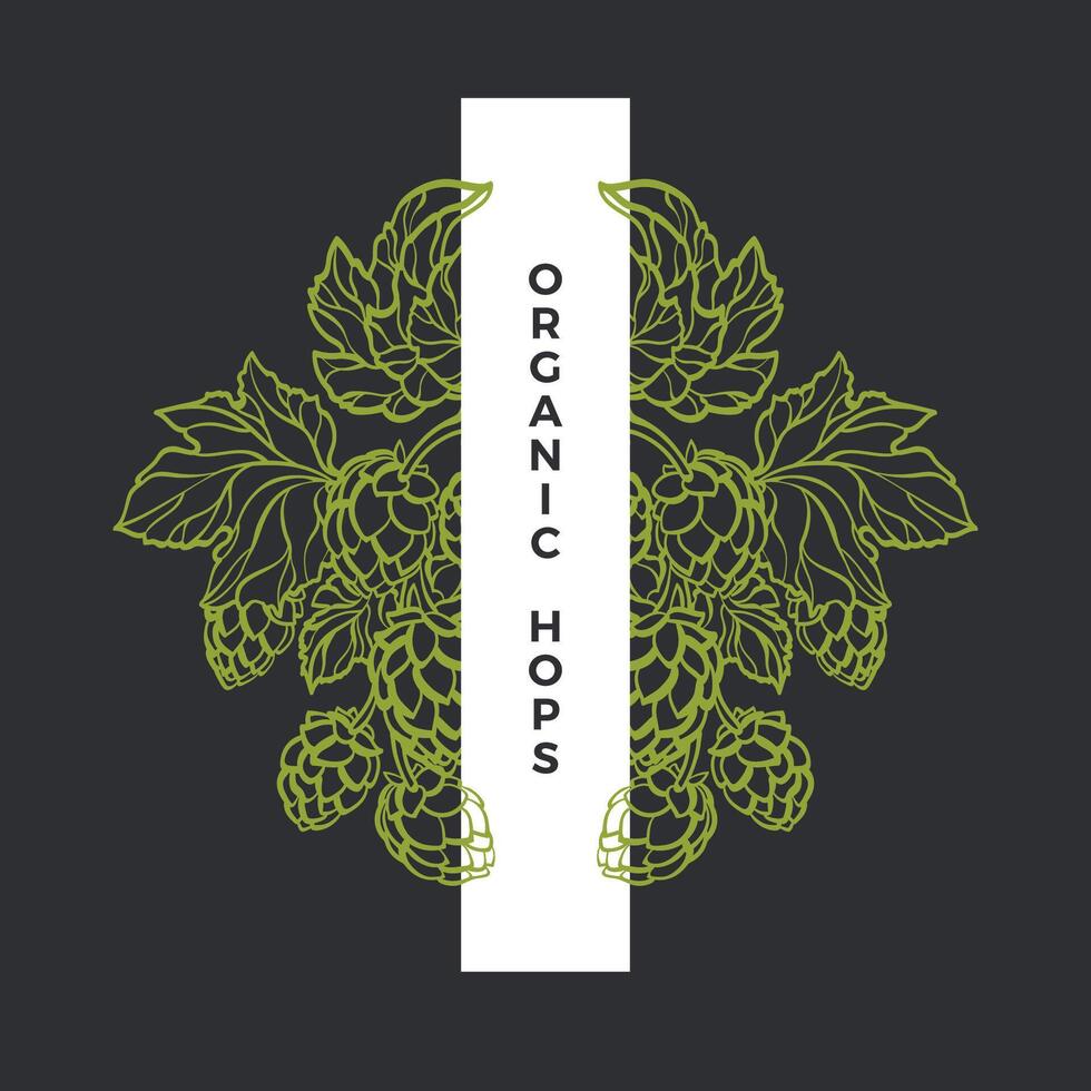 salto grabado. vector naturaleza modelo. natural hoja y verde cono. botánico Arte línea marco. natural orgánico beber, cerveza. Fresco cosecha. mano dibujado diseño para tarjeta, pub.