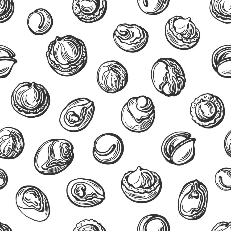 Shea nut seamless pattern. Vector hand drawind illustration in vintage style. Karite natural food, organic cosmetic. Ink engraving sketch on white background. Texture graphic print