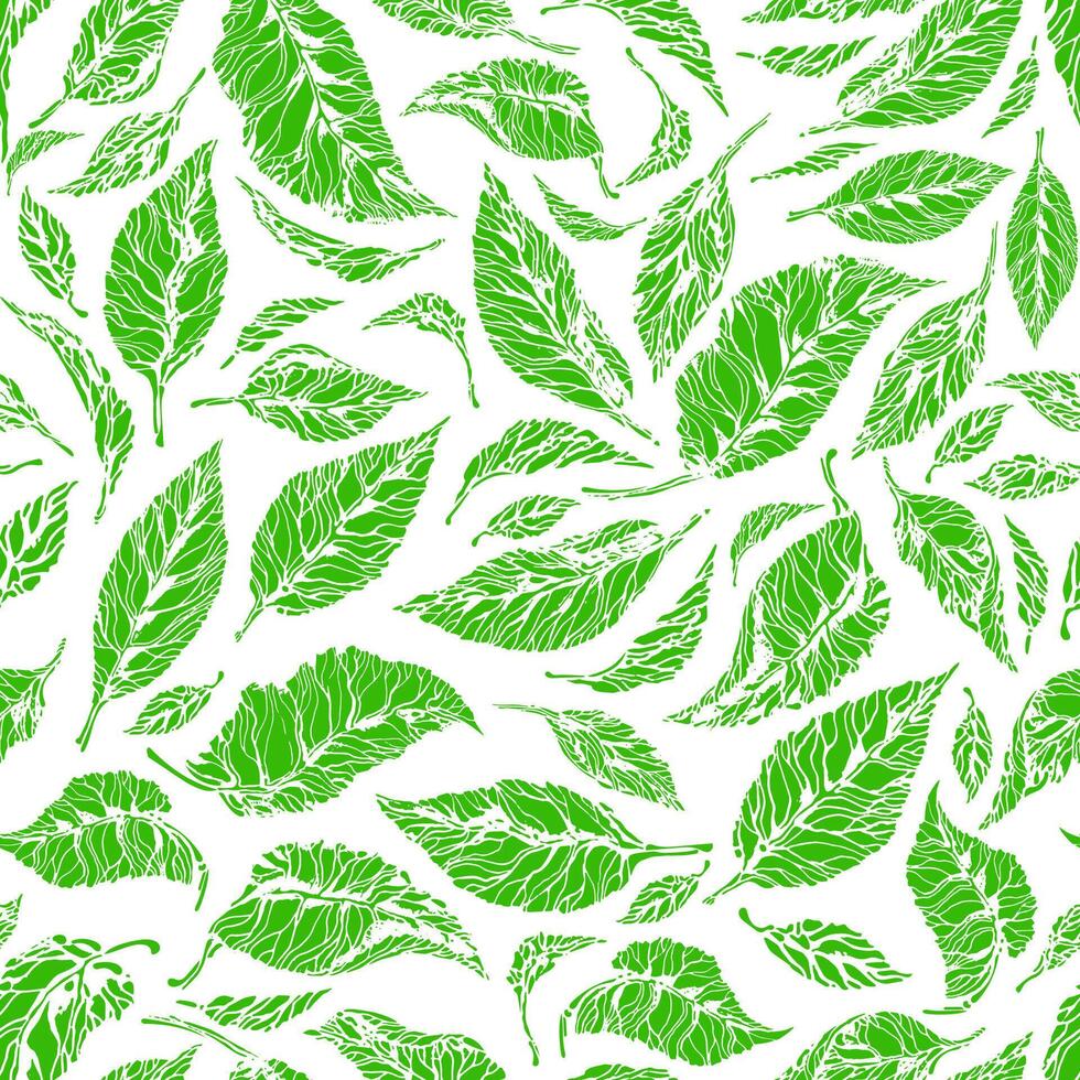 Fresh tea leaf. Vector seamless pattern
