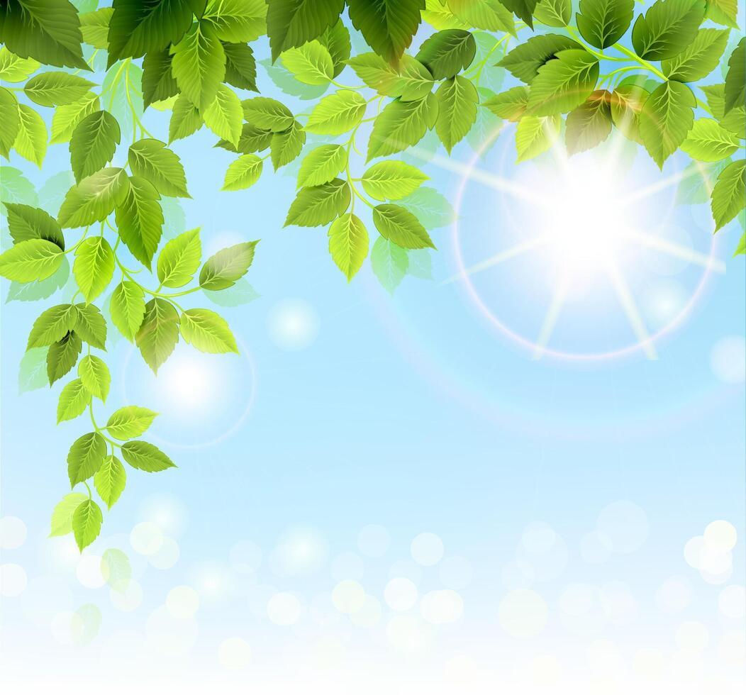 Sunny Sun Flared Blue Sky With Green Leaves Background vector