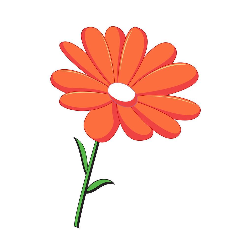 Transvaal Daisy Icon vector