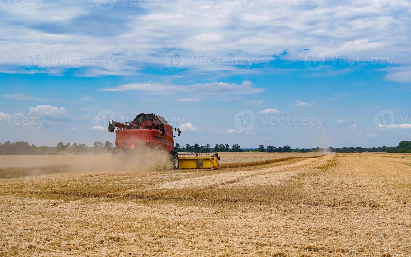 grande agrícola agricultura combinar. enorme rojo agricultura máquina trabajando en el campo. foto