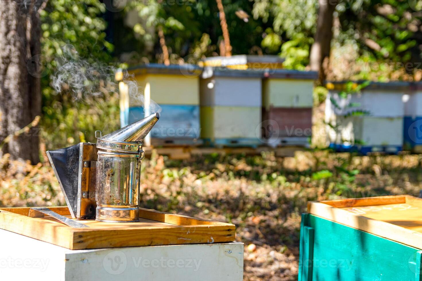 Many beehives in the apiary. Selective focus on steel bee smoker on a lid of a hive. Summer day in garden. Blurred background. photo