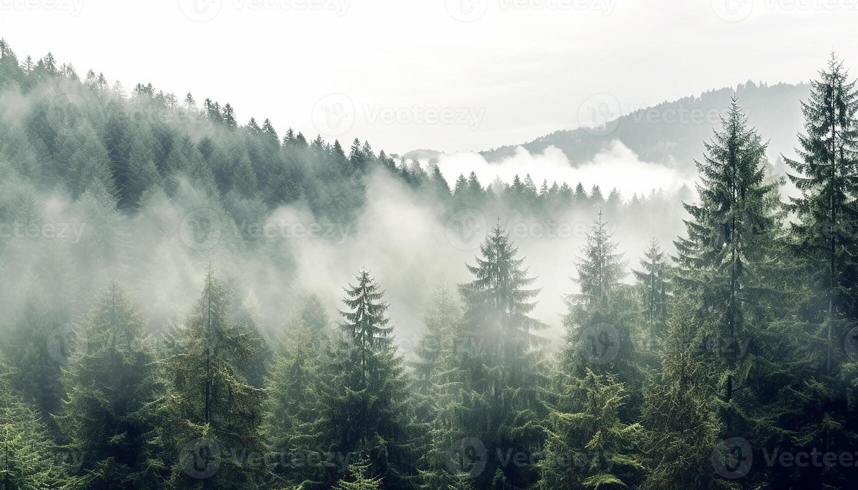 AI generated Tranquil scene foggy mountain peak, green meadow, serene fir tree generated by AI photo
