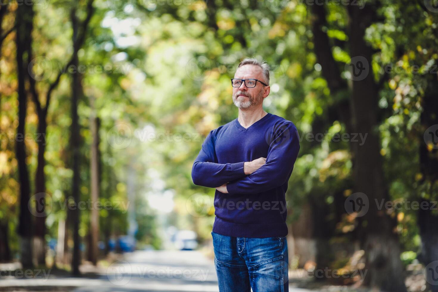 Middle age man with gray hair in park. Blue sweater. Eyeglasses. Bearded confident businessman. Blurred background. Crossed hands. Half size photo