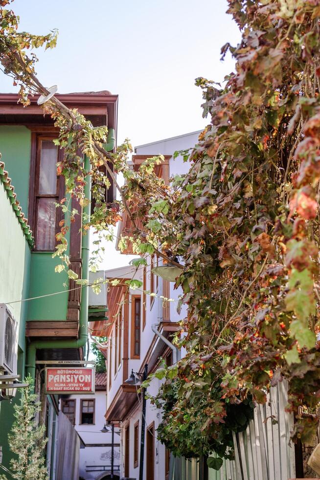 Antalya, Turkey - November 15, 2022. Narrow alleyway between two houses with a colorful tree. photo