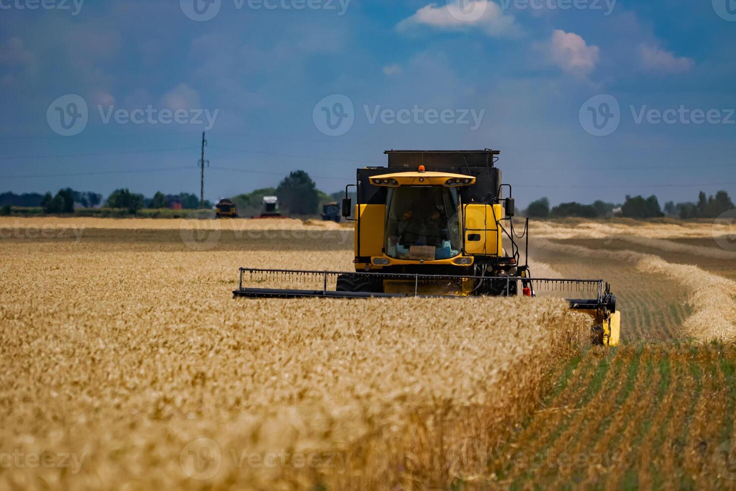 Harvesting agricultural landscape by big combine. Farming gold wheat combine harvester. photo