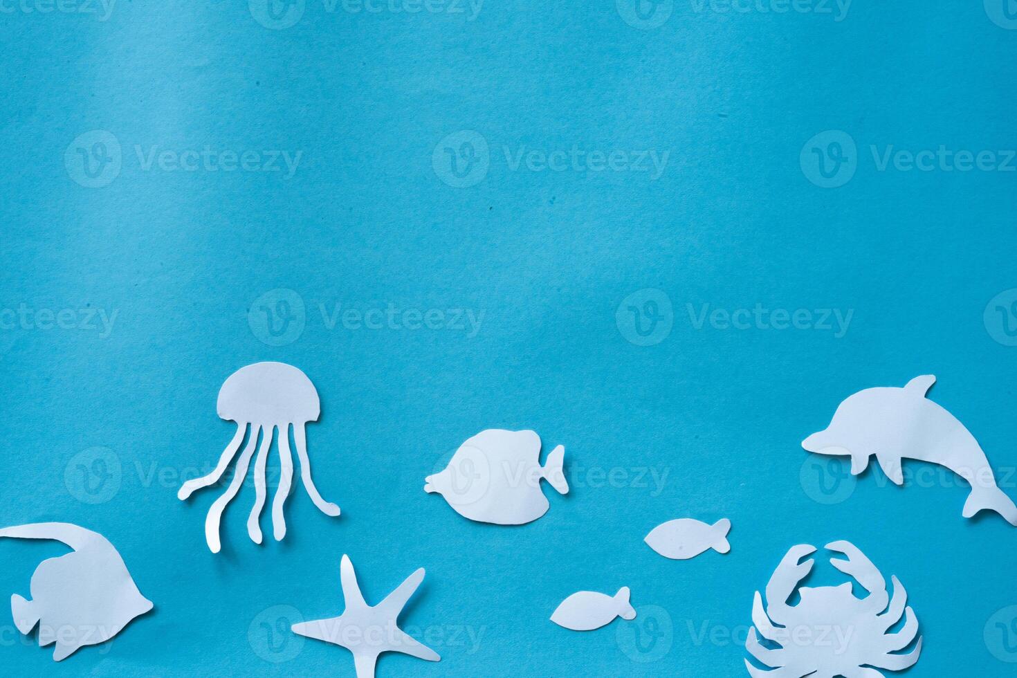 background with fish frame photo