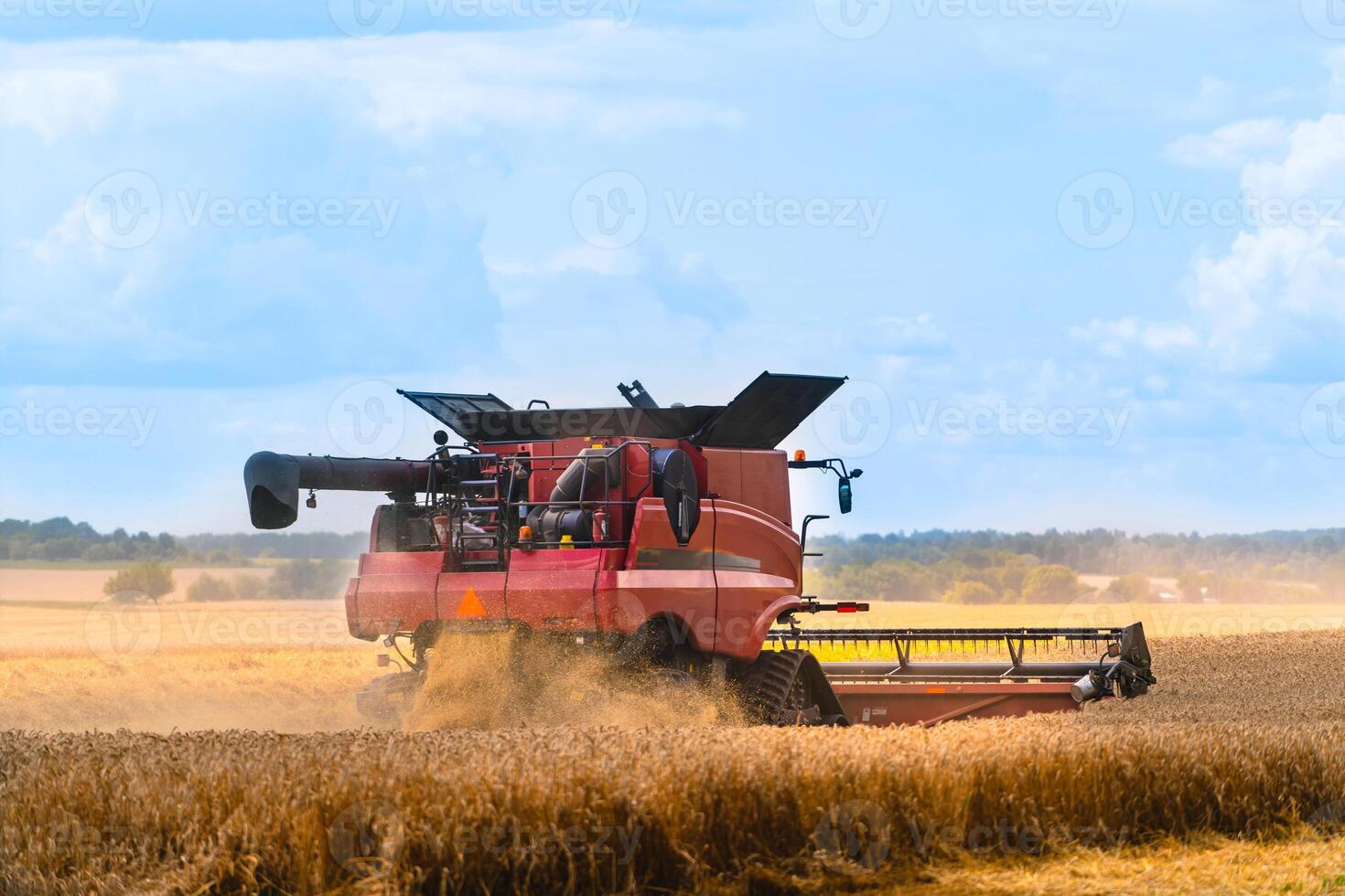 Process of gathering ripe crop from the fields. agricultural technic in field. Special technic in action. Heavy machinery concrpt photo