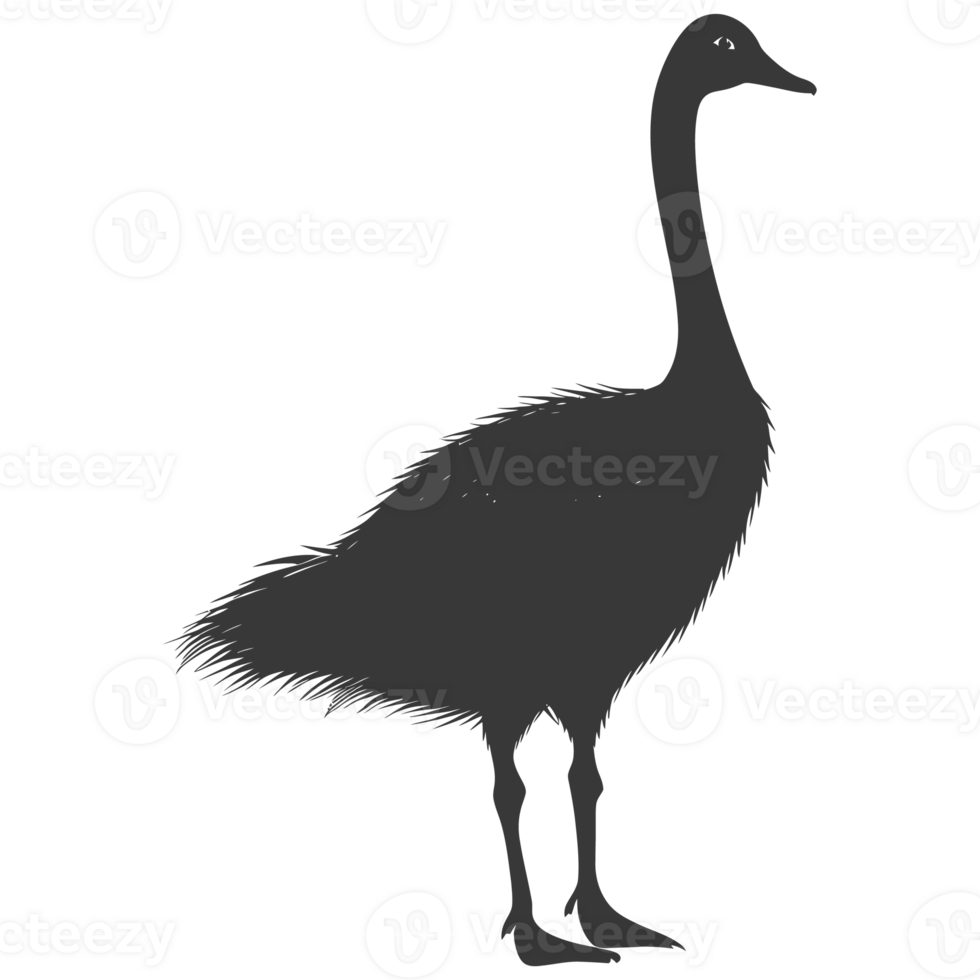 AI generated Silhouette goose animal black color only full body png