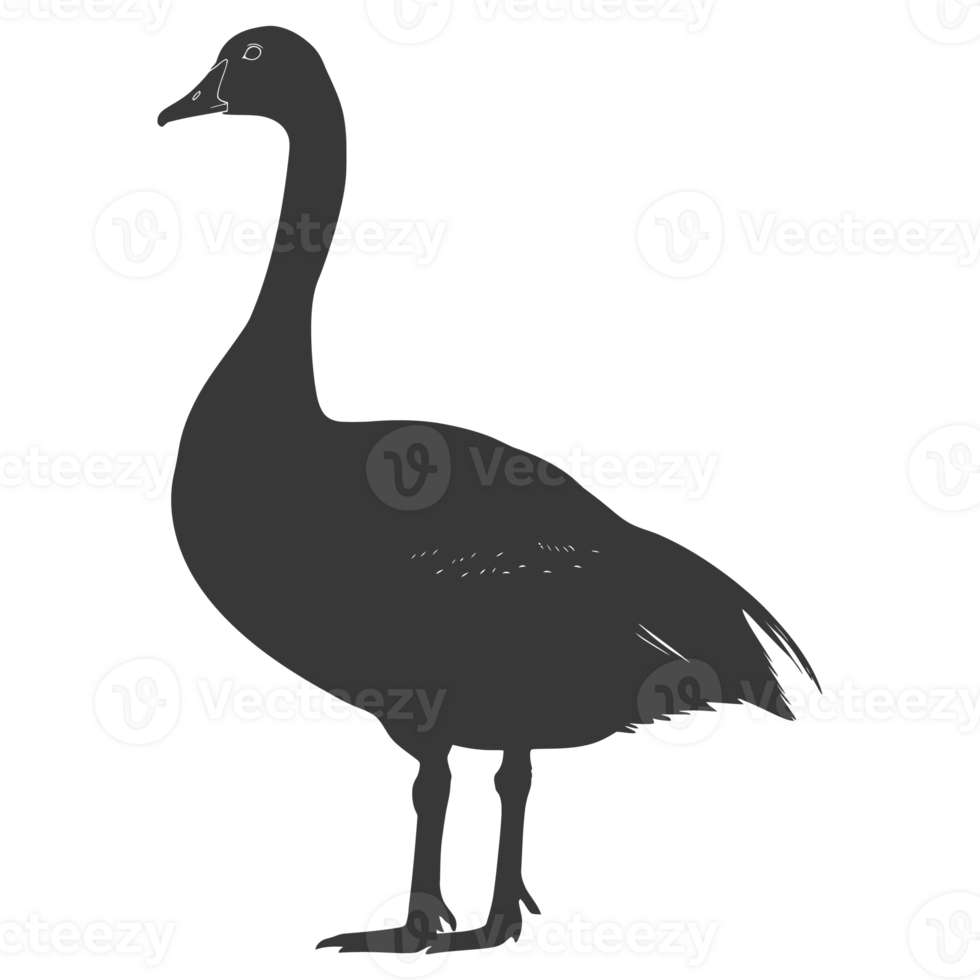 AI generated Silhouette goose animal black color only full body png