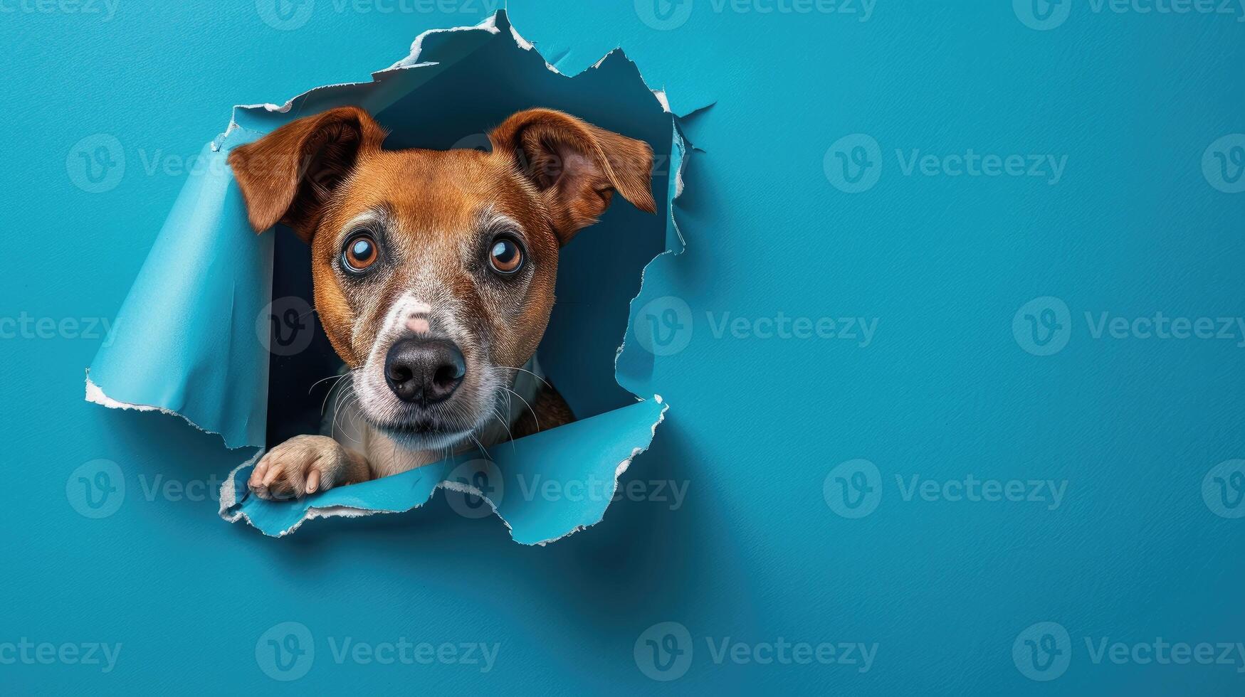 AI generated A humorous dog peers through a ripped hole in a contrast pastel color paper background, Ai Generated photo