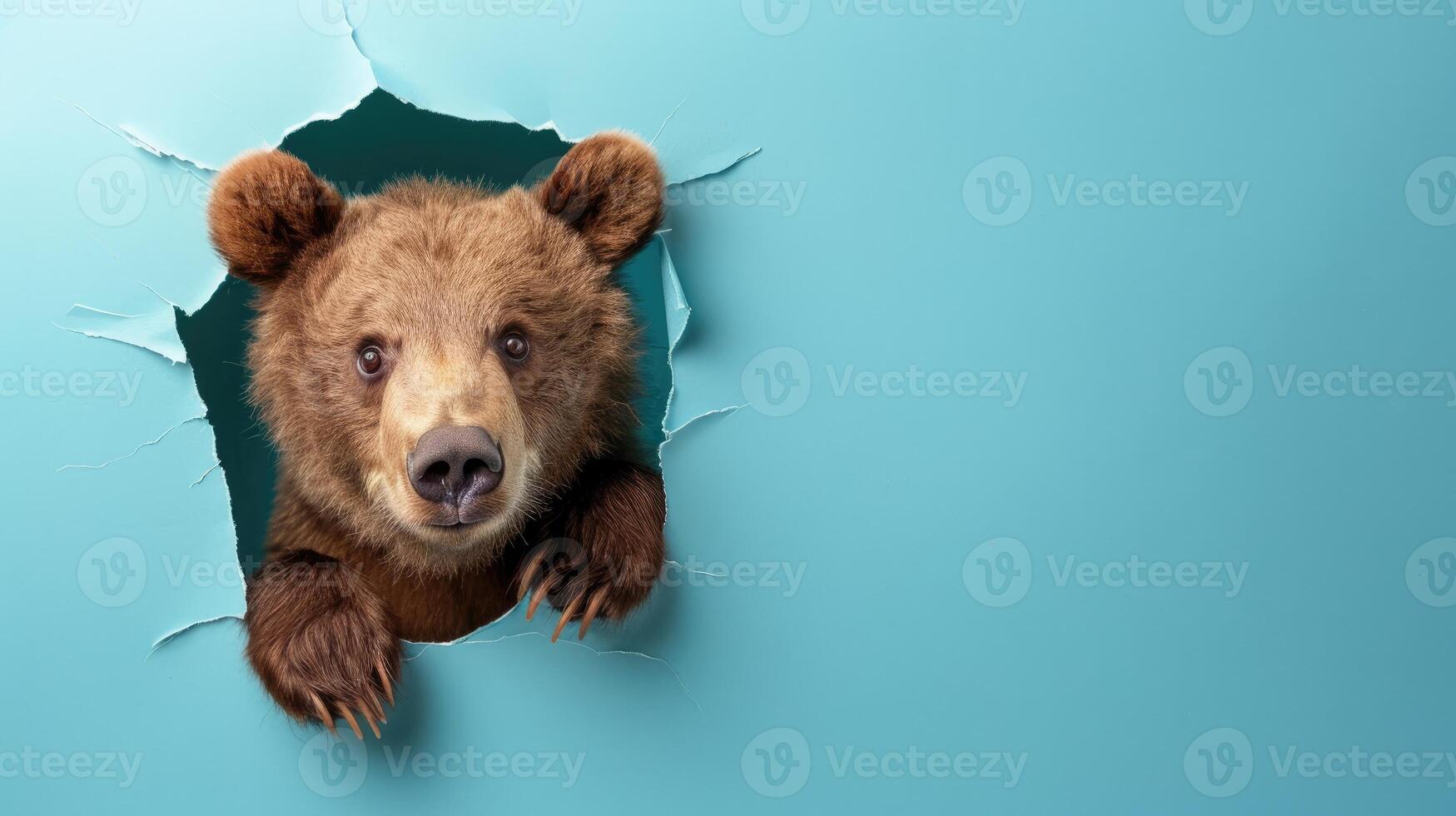 AI generated A humorous bear peers through a ripped hole in a contrast pastel color paper background, Ai Generated photo