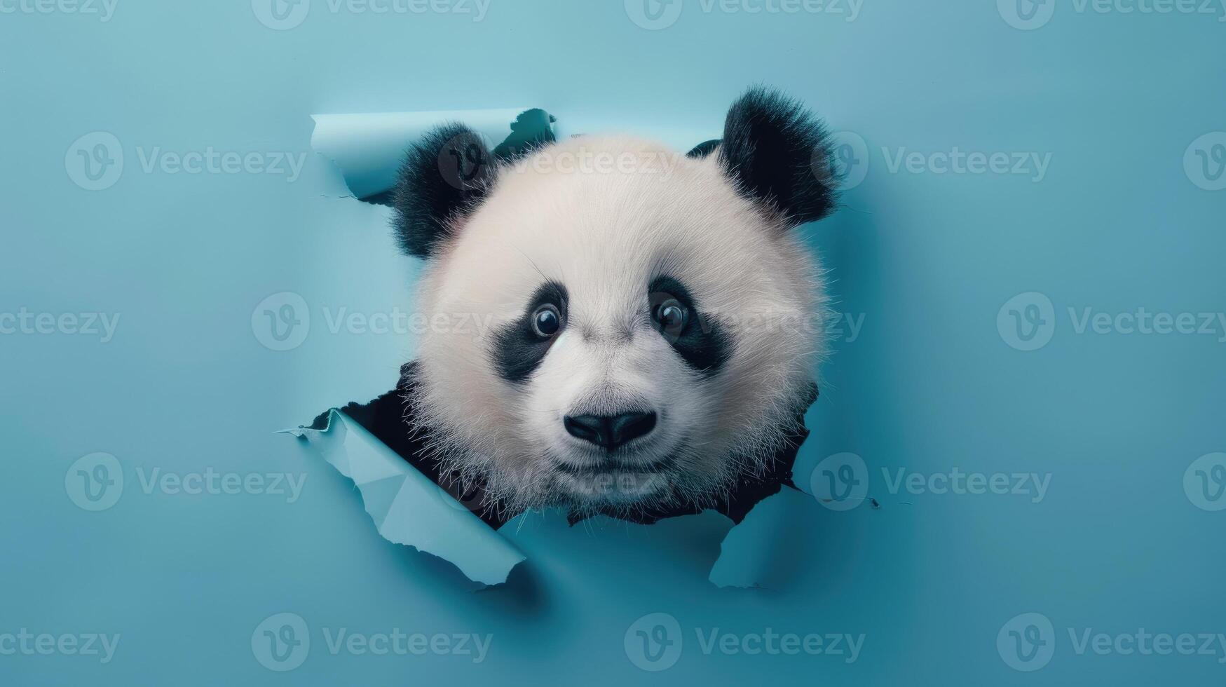 AI generated A humorous panda peers through a ripped hole in a contrast pastel color paper background, Ai Generated photo