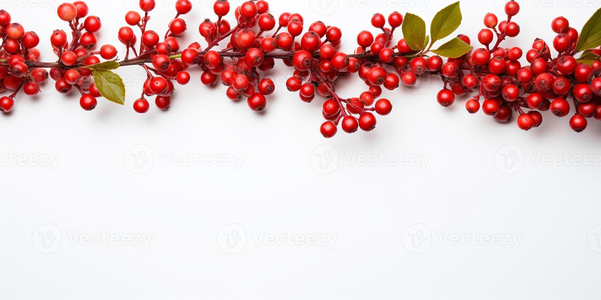 AI generated Red barberry branches isolated on a white background. Ripe fresh berries. Barberry sprigs. photo